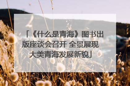 《什么是青海》图书出版座谈会召开 全景展现大美青海发展新貌