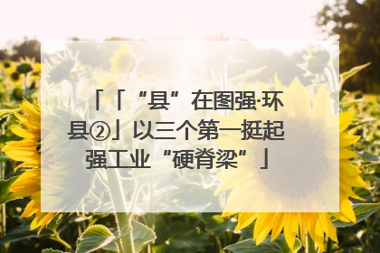 「“县”在图强·环县②」以三个第一挺起强工业“硬脊梁”