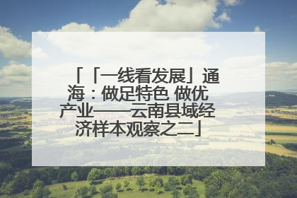 「一线看发展」通海：做足特色 做优产业——云南县域经济样本观察之二