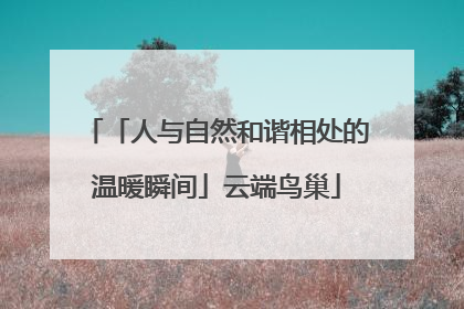 「人与自然和谐相处的温暖瞬间」云端鸟巢