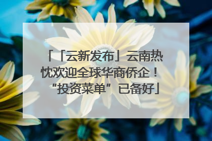 「云新发布」云南热忱欢迎全球华商侨企！“投资菜单”已备好