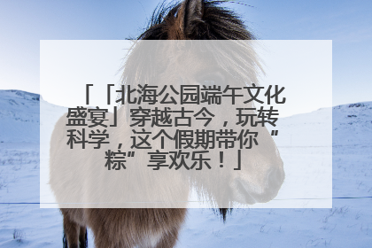 「北海公园端午文化盛宴」穿越古今，玩转科学，这个假期带你“粽”享欢乐！