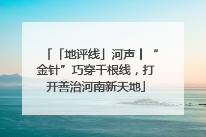 「地评线」河声丨“金针”巧穿千根线，打开善治河南新天地