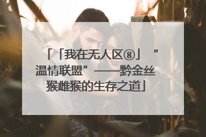 「我在无人区⑧」“温情联盟”——黔金丝猴雌猴的生存之道