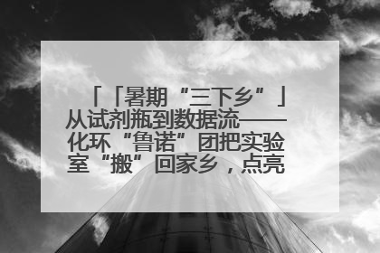 「暑期“三下乡”」从试剂瓶到数据流——化环“鲁诺”团把实验室“搬”回家乡，点亮桑梓求知路