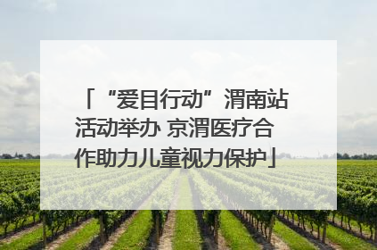 “爱目行动”渭南站活动举办 京渭医疗合作助力儿童视力保护