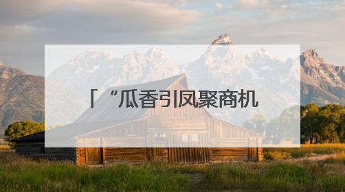 “瓜香引凤聚商机 政企联动促发展”北京大兴庞各庄镇 2025 年西瓜季政企联动产业推介活动圆满举行