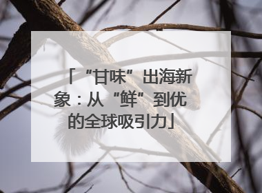 “甘味”出海新象：从“鲜”到优的全球吸引力