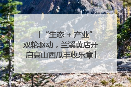 “生态 + 产业”双轮驱动，兰溪黄店开启高山西瓜丰收乐章