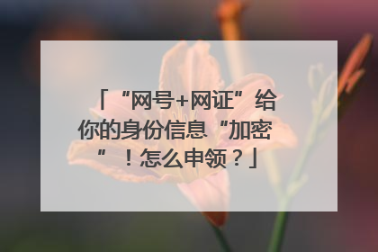 “网号+网证”给你的身份信息“加密”！怎么申领？