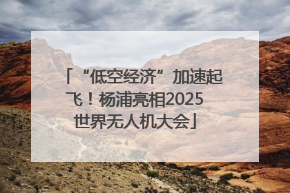 “低空经济”加速起飞！杨浦亮相2025世界无人机大会