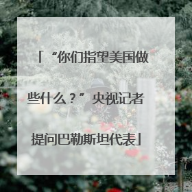 “你们指望美国做些什么？”央视记者提问巴勒斯坦代表