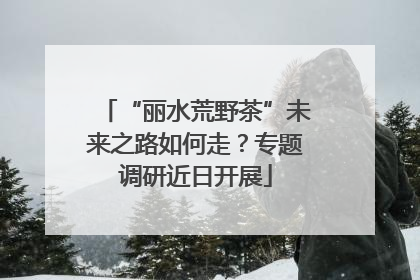 “丽水荒野茶”未来之路如何走？专题调研近日开展