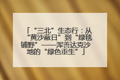 “三北”生态行：从“黄沙蔽日”到“绿毯铺野”——浑善达克沙地的“绿色重生”