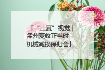 “三夏”视觉｜孟州麦收正当时 机械减损保归仓