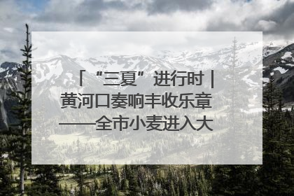 “三夏”进行时｜黄河口奏响丰收乐章——全市小麦进入大面积收获高峰期