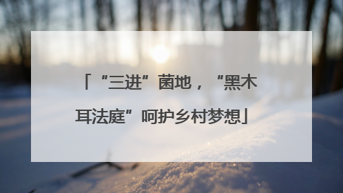 “三进”菌地，“黑木耳法庭”呵护乡村梦想