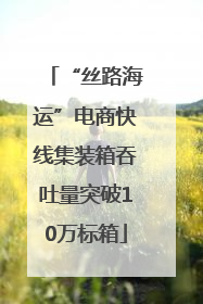 “丝路海运”电商快线集装箱吞吐量突破10万标箱