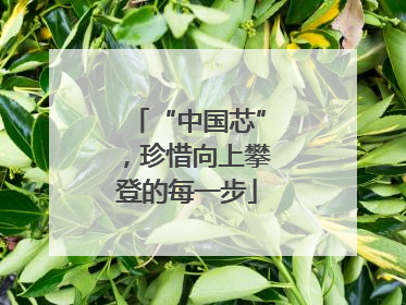 “中国芯”，珍惜向上攀登的每一步
