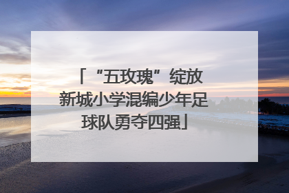 “五玫瑰”绽放 新城小学混编少年足球队勇夺四强