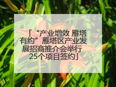 “产业增效 雁塔有约”雁塔区产业发展招商推介会举行 25个项目签约
