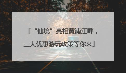 “仙境”亮相黄浦江畔，三大优惠游玩政策等你来