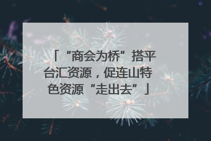 “商会为桥”搭平台汇资源，促连山特色资源“走出去”