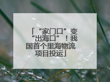 “家门口”变“出海口”！我国首个里海物流项目投运
