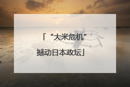 “大米危机”撼动日本政坛
