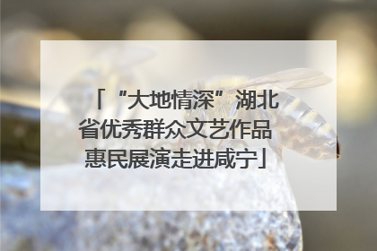 “大地情深”湖北省优秀群众文艺作品惠民展演走进咸宁