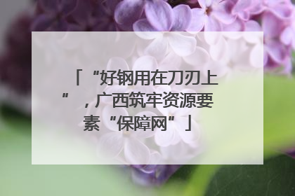 “好钢用在刀刃上”，广西筑牢资源要素“保障网”