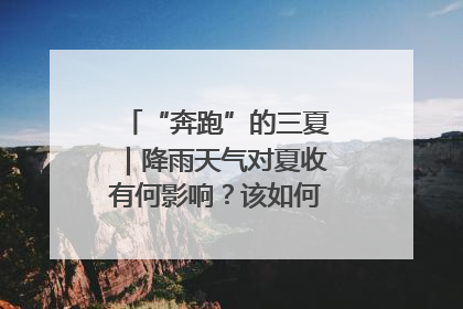 “奔跑”的三夏｜降雨天气对夏收有何影响？该如何防范？一文了解
