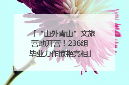 “山外青山”文旅营地开营！236组毕业力作惊艳亮相
