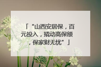 “山西安居保，百元投入，撬动高保额，保家财无忧”