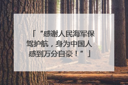 “感谢人民海军保驾护航，身为中国人感到万分自豪！”