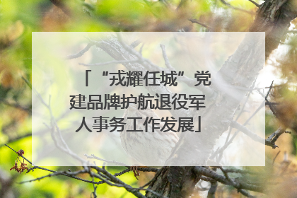 “戎耀任城”党建品牌护航退役军人事务工作发展
