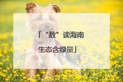 “数”读海南生态含绿量