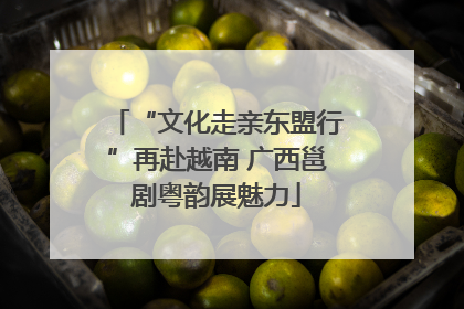 “文化走亲东盟行”再赴越南 广西邕剧粤韵展魅力