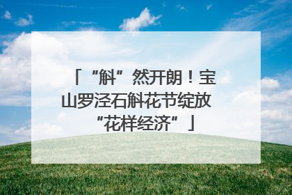 “斛”然开朗！宝山罗泾石斛花节绽放“花样经济”