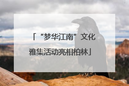 “梦华江南”文化雅集活动亮相柏林
