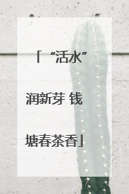 “活水”润新芽 钱塘春茶香