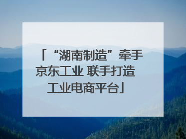 “湖南制造”牵手京东工业 联手打造工业电商平台