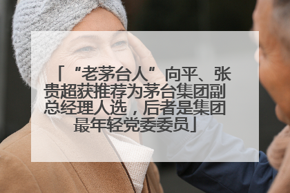 “老茅台人”向平、张贵超获推荐为茅台集团副总经理人选，后者是集团最年轻党委委员
