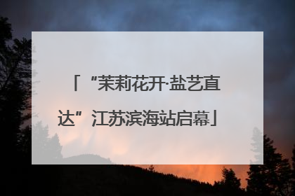 “茉莉花开·盐艺直达”江苏滨海站启幕