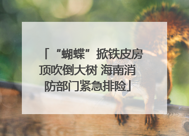 “蝴蝶”掀铁皮房顶吹倒大树 海南消防部门紧急排险