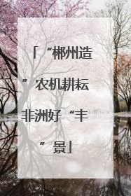 “郴州造”农机耕耘非洲好“丰”景