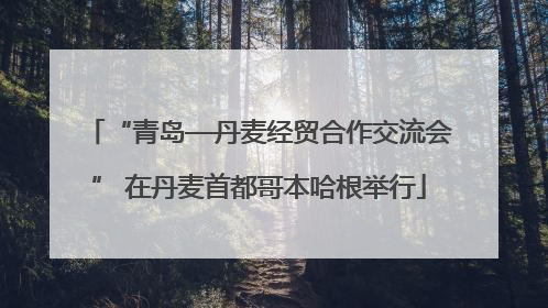 “青岛—丹麦经贸合作交流会” 在丹麦首都哥本哈根举行
