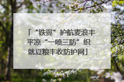 “铁翼”护航麦浪丰 平凉“一喷三防”织就夏粮丰收防护网