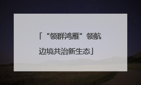 “领群鸿雁”领航边境共治新生态