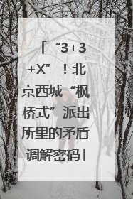 “3+3+X”！北京西城“枫桥式”派出所里的矛盾调解密码